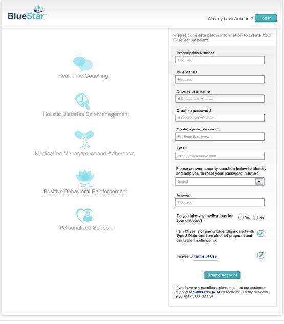 WellDoc BlueStar or WellDoc DiabetesManager System and DiabetesManager Rx System